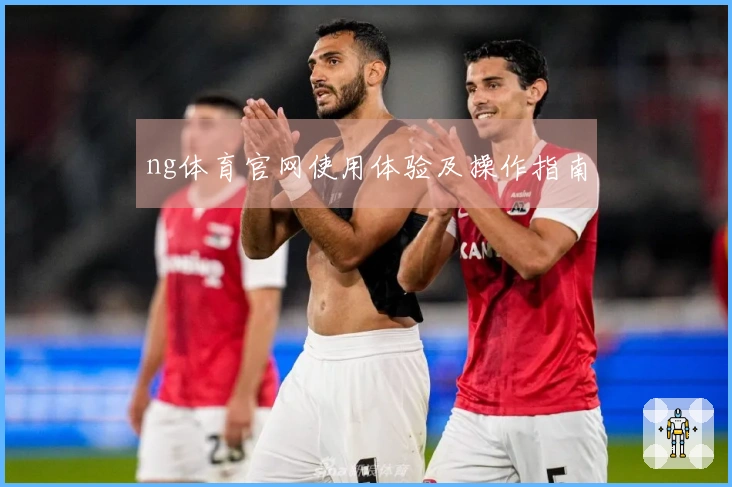 ng体育官网使用体验及操作指南