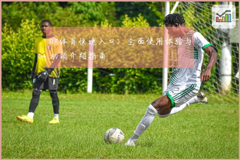ng体育快速入口：全面使用体验与功能介绍指南