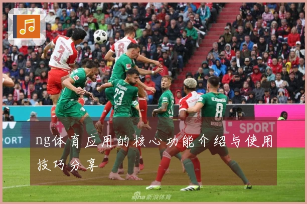 ng体育应用的核心功能介绍与使用技巧分享