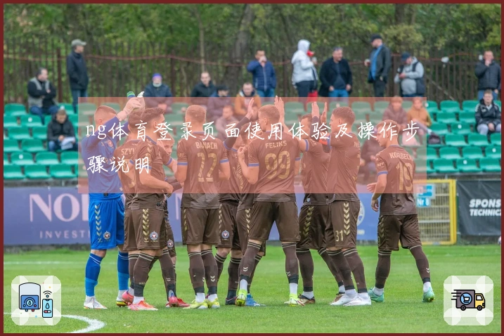 ng体育登录页面使用体验及操作步骤说明